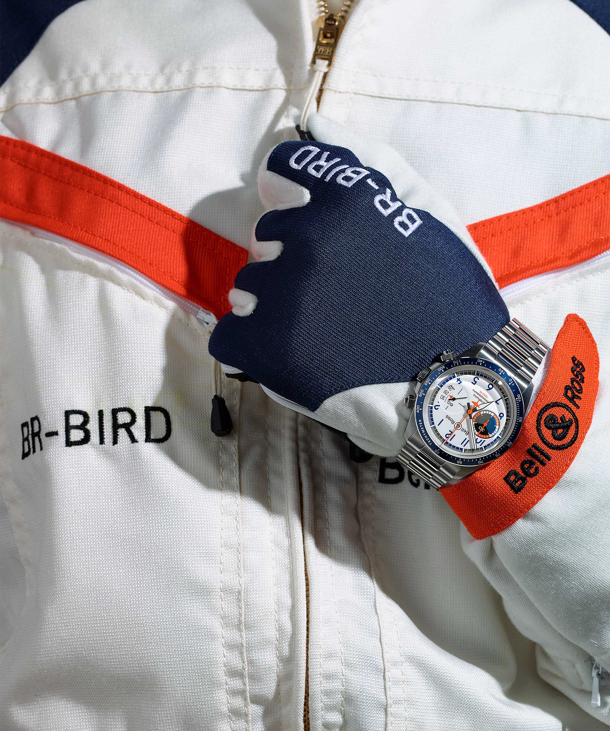BR V2-94 racing bird - Image 2